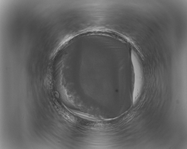 X0000056351359200509161751