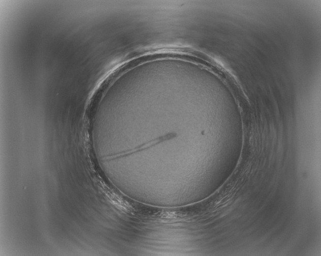 X0000056351360200509161751