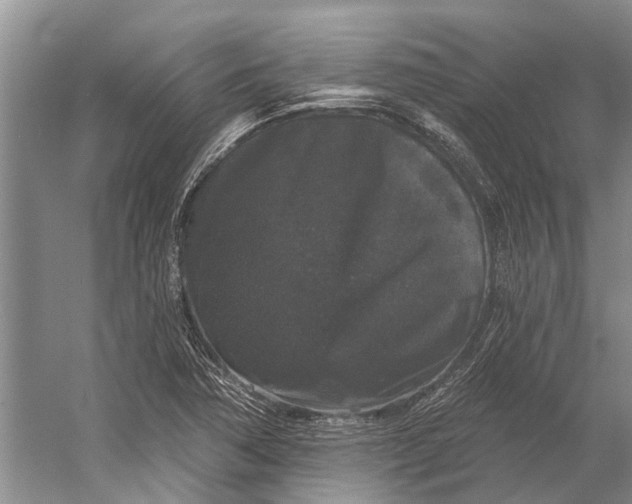 X0000056351362200509161751