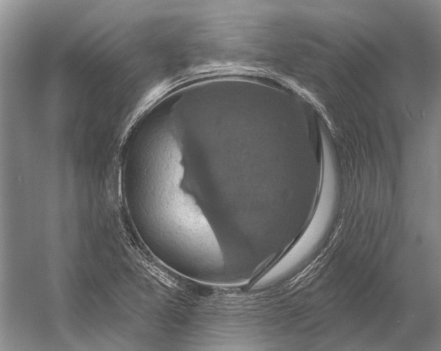 X0000056351365200509161751