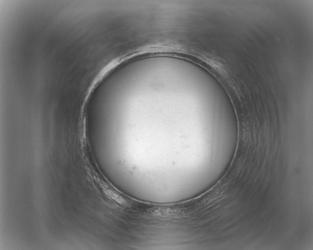 X0000056351366200509161751