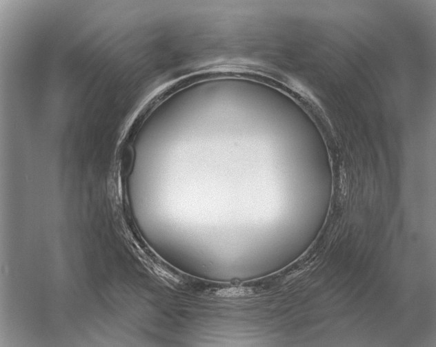 X0000056351368200509161751