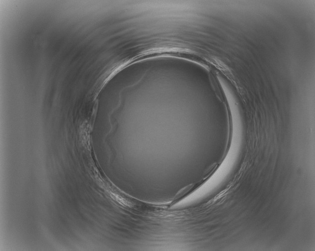 X0000056351369200509161751