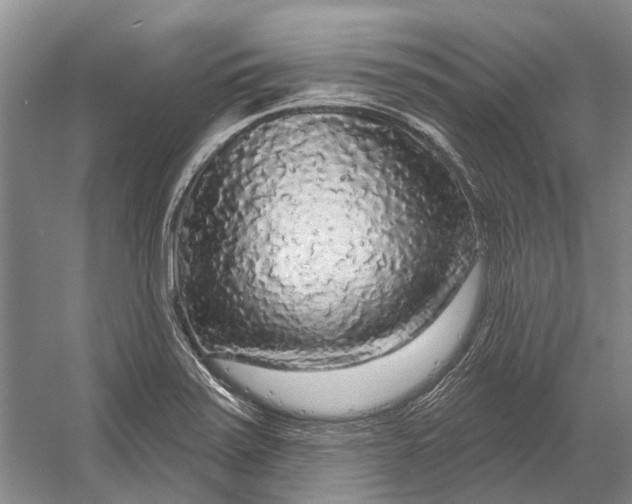 X0000056351371200509161751