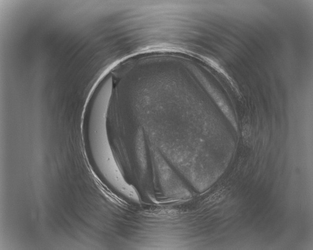 X0000056351372200509161751