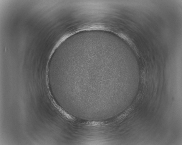 X0000056351374200509161751