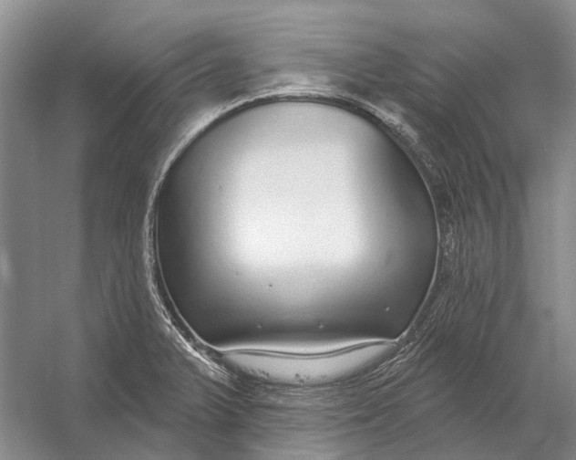 X0000056351375200509161751