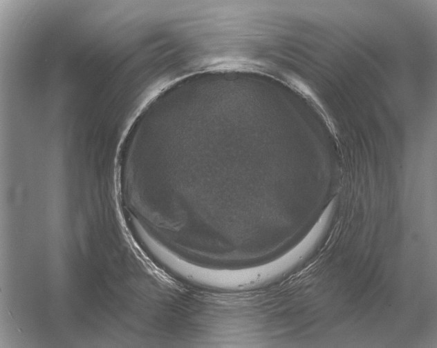 X0000056351376200509161751