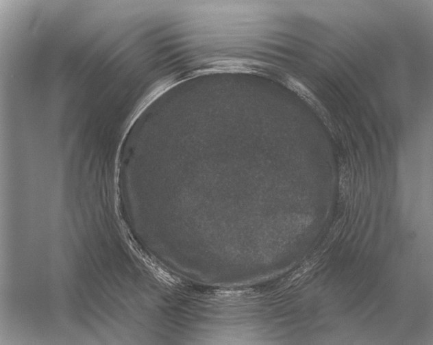 X0000056351378200509161750