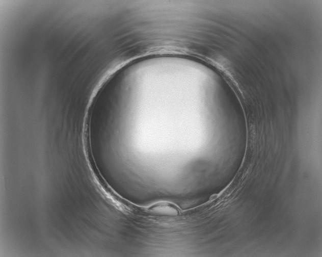 X0000056351379200509161750