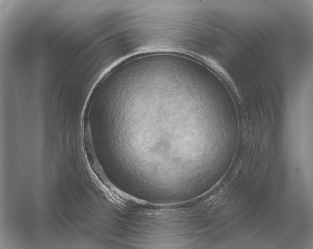 X0000056351380200509161750