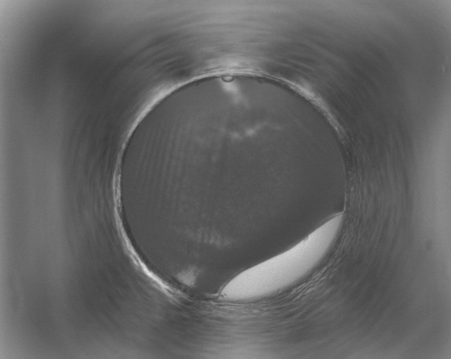 X0000056351383200509161750