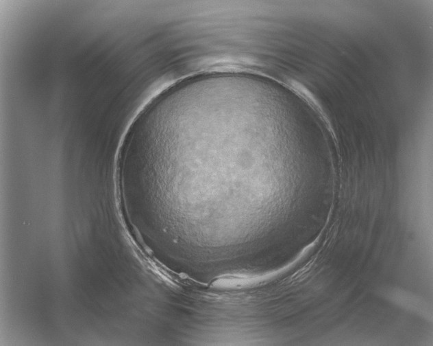 X0000056351384200509161750