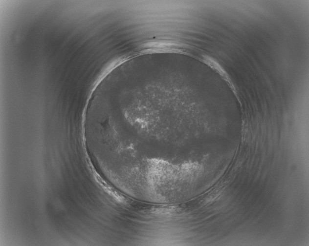 X0000056351386200509161750