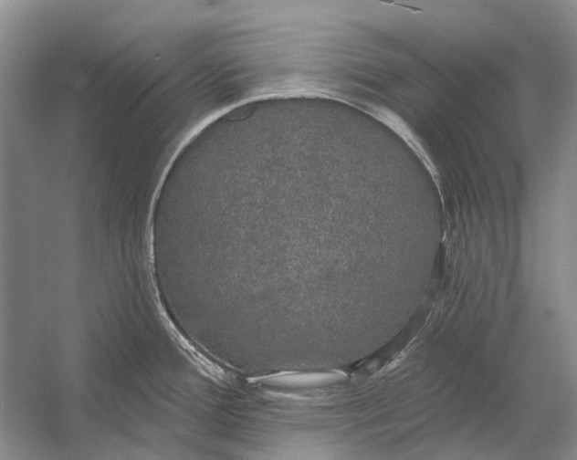 X0000056351388200509161750