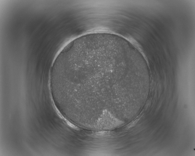 X0000056351390200509161750