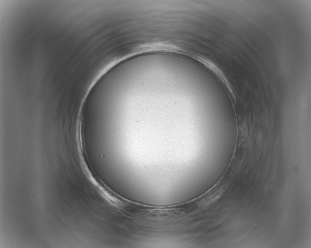 X0000056351391200509161750