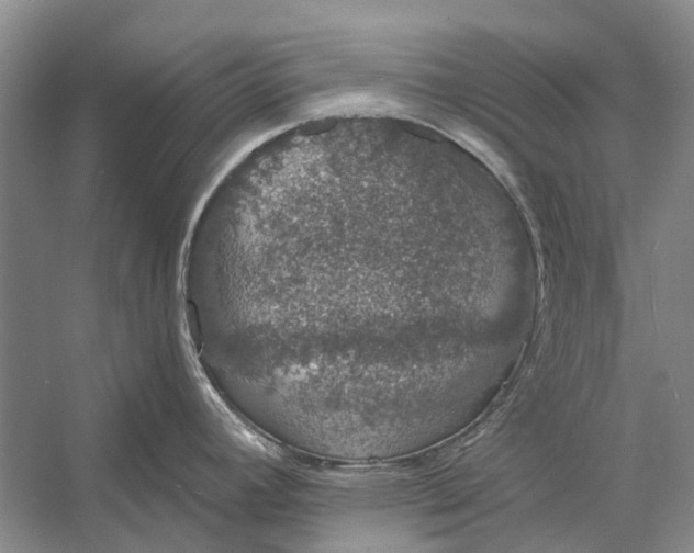 X0000056351392200509161750