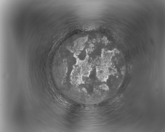 X0000056351393200509161749