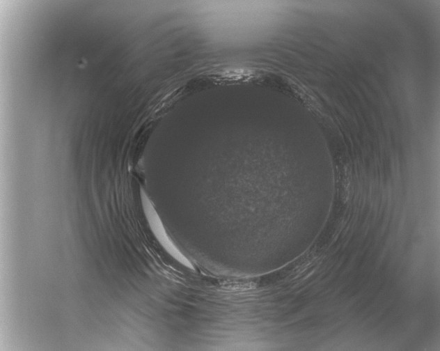 X0000056351394200509161749