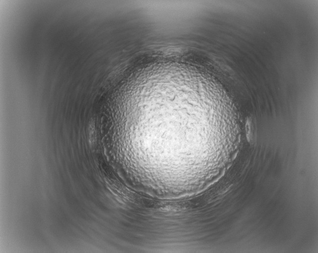 X0000056351395200509161749