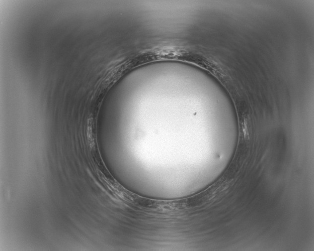 X0000056351396200509161749