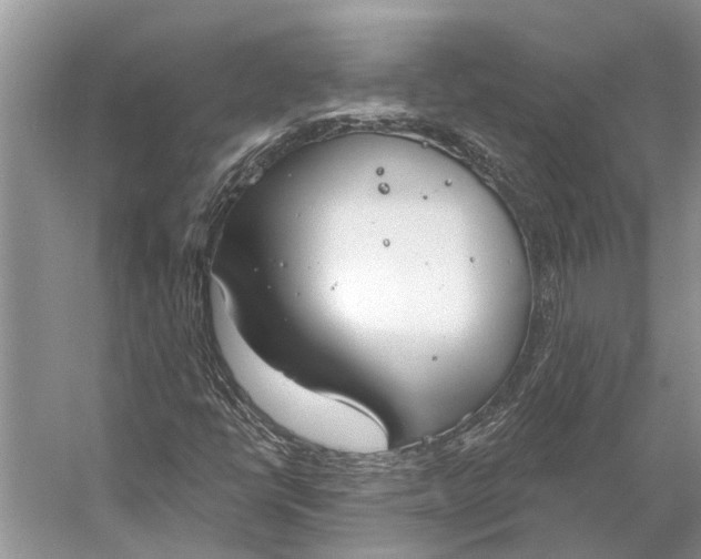 X0000056351398200509161750