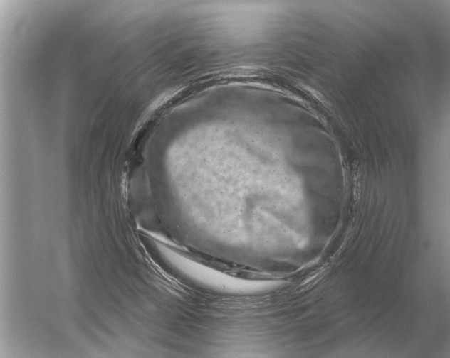 X0000056351402200509161750