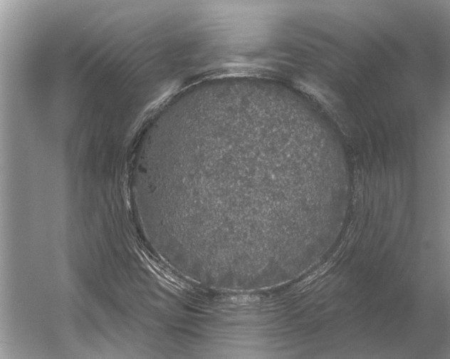 X0000056351403200509161750