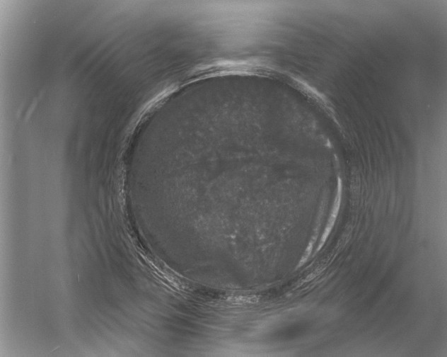 X0000056351411200509161750