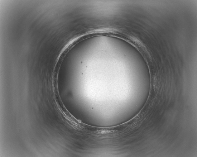 X0000056351412200509161750