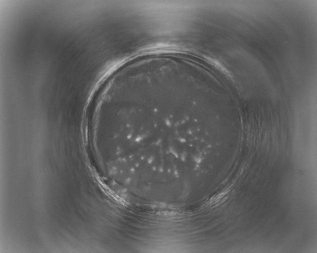 X0000056351413200509161750