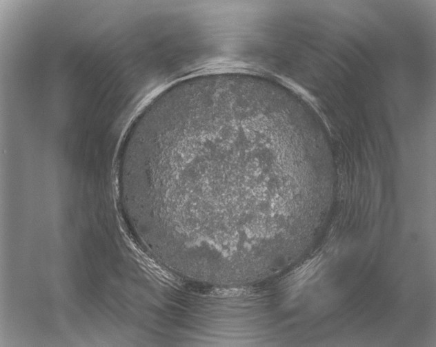 X0000056351415200509161750