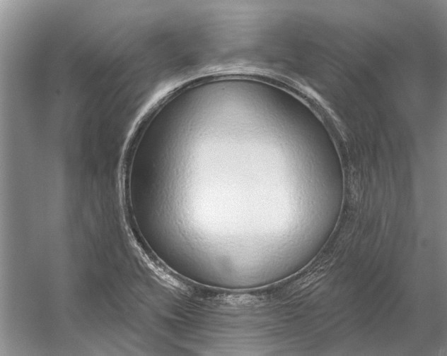 X0000056351416200509161750