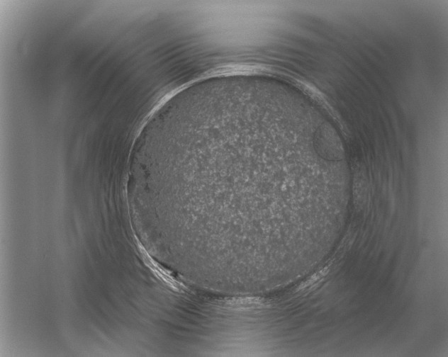 X0000056351417200509161750