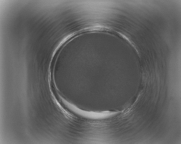 X0000056351418200509161750