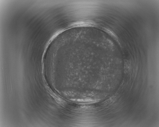 X0000056351419200509161750