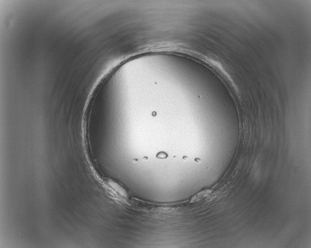 X0000056351424200509161750