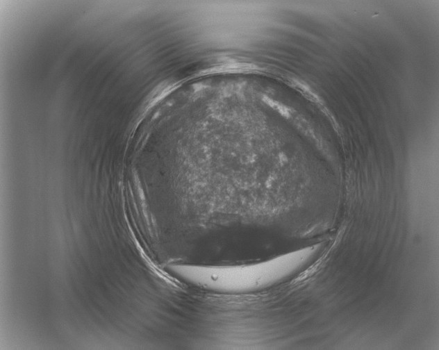 X0000056351425200509161750