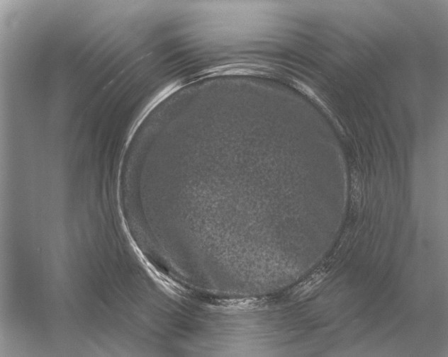 X0000056351426200509161750