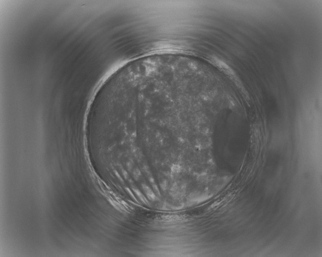 X0000056351427200509161750