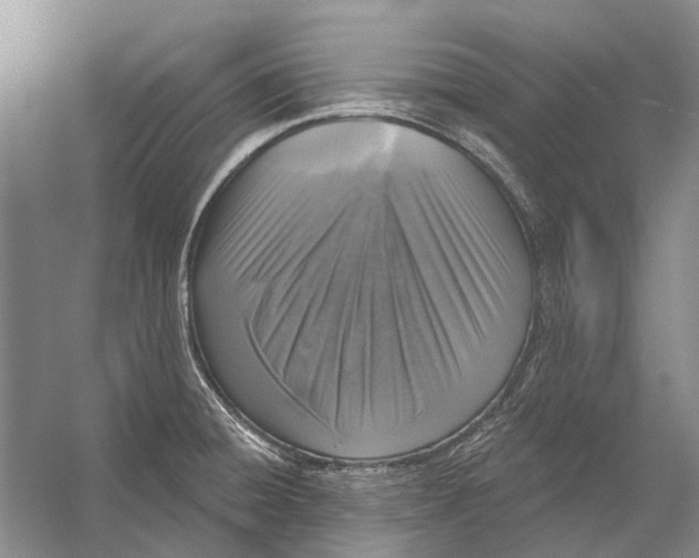 X0000056351428200509161750