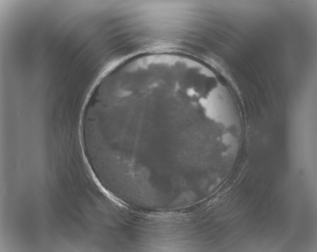 X0000056351429200509161750