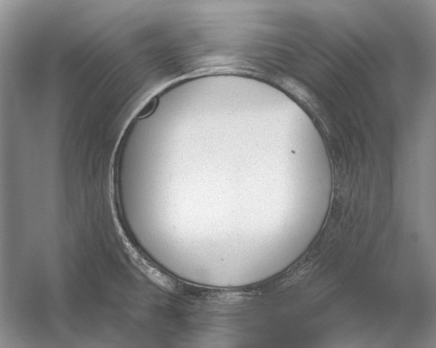 X0000056351431200509161750