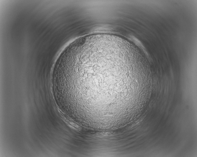 X0000056351435200509161750