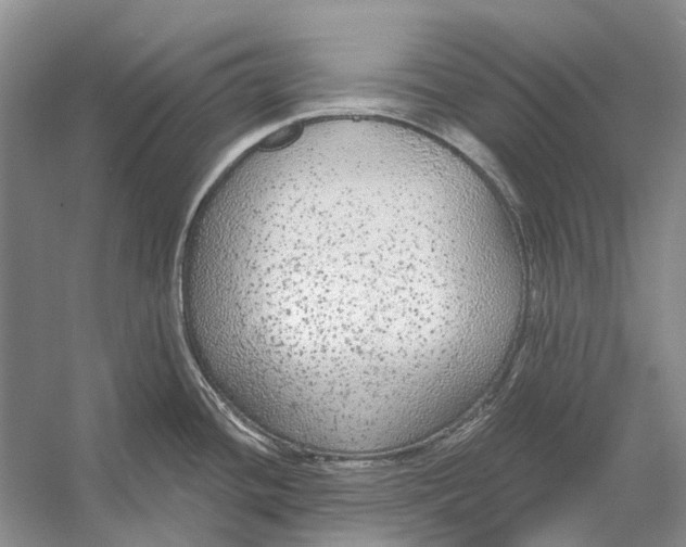 X0000056351436200509161750