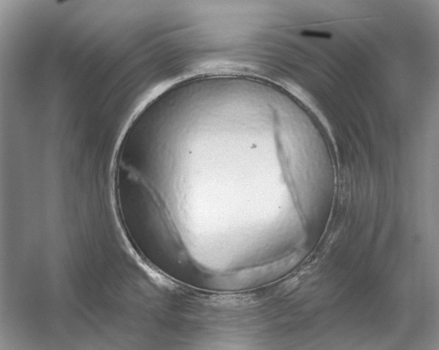 X0000056351437200509161750