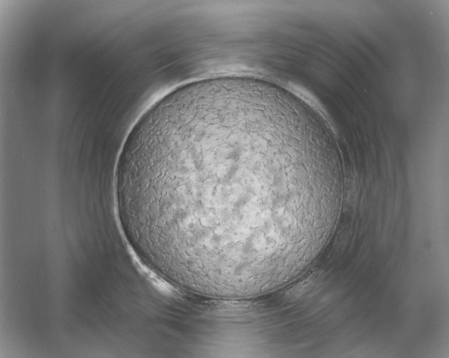 X0000056351439200509161750