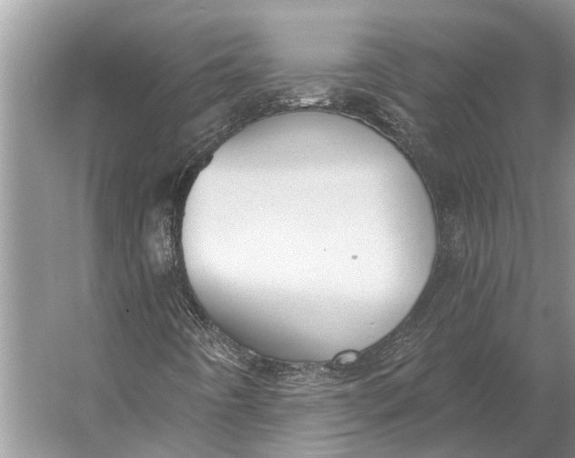 X0000056351442200509161749