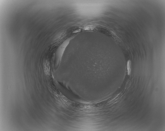 X0000056351443200509161749